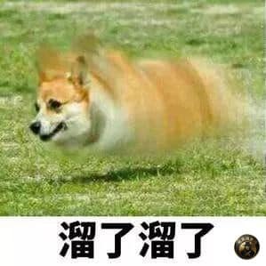 #网友投稿：#金边 正规台子工作人员也在搬离中。

我们