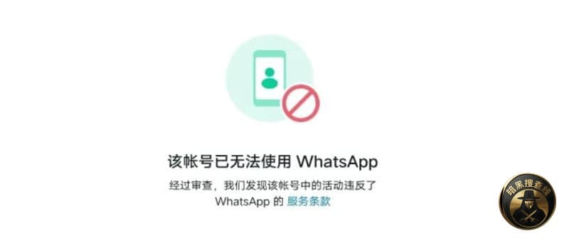 #群友分享：如果想更高级一点地养新注册的 WhatsApp