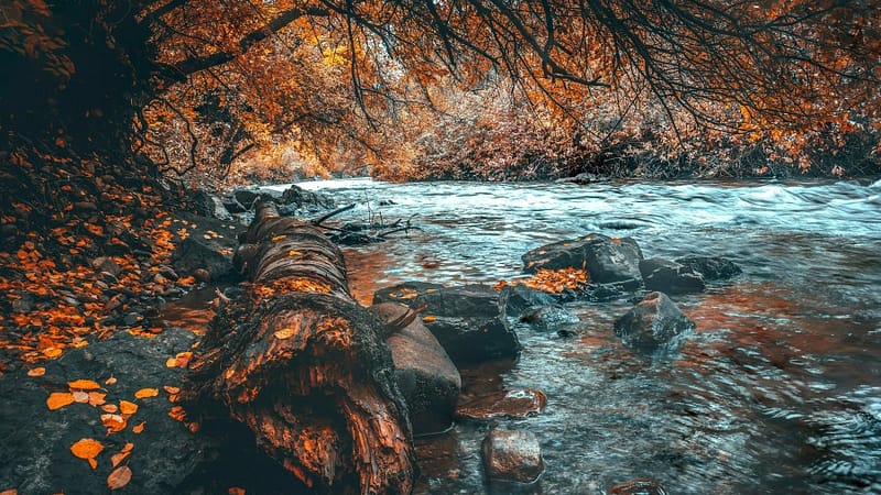 What is the first natural feature recognized as a person?