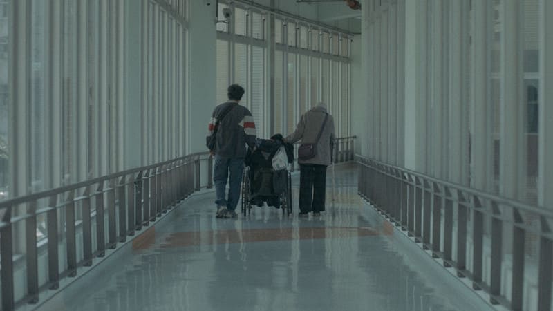 照護黑洞，誰為芻狗──《白衣蒼狗》映照的失聯移工與超高齡社會困境