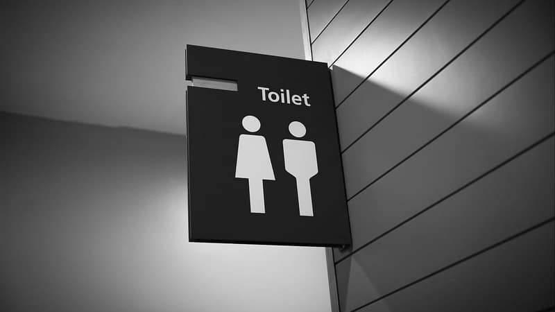 Women’s toilets are not for trans women, UK equality watchdog says