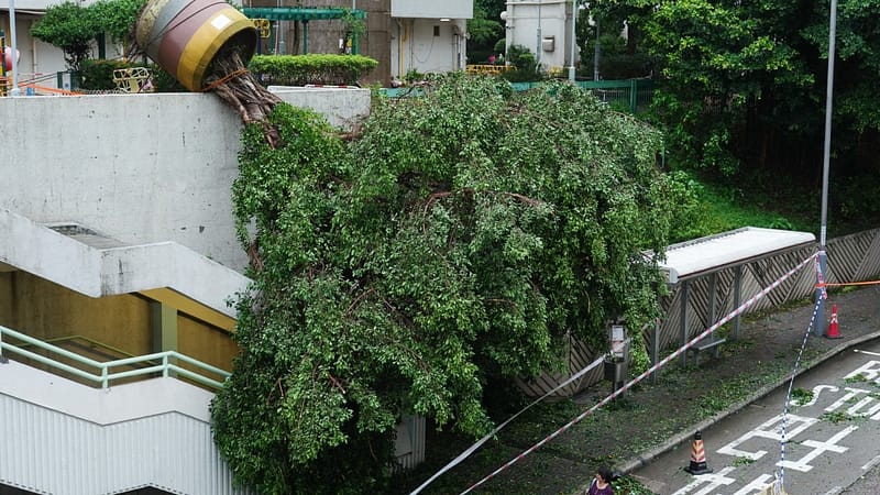 Which typhoons have triggered Hong Kong’s T10 warning in last 30 years?