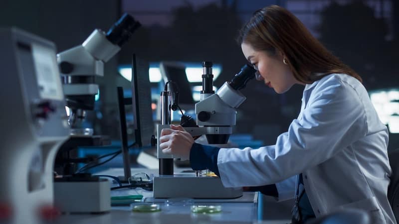 China extends funding programme to lure top young scientists from overseas