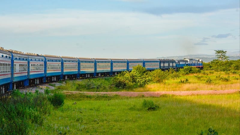 China, US, Japan race to control African rail routes in critical minerals fight