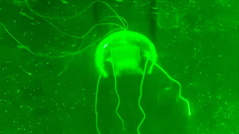 China unveils ‘ghost’ drone for stealth underwater surveillance