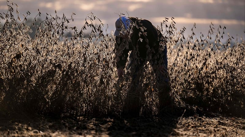 Trump’s cooking oil embargo threat, ‘red gift bag’ arrest: SCMP daily highlights