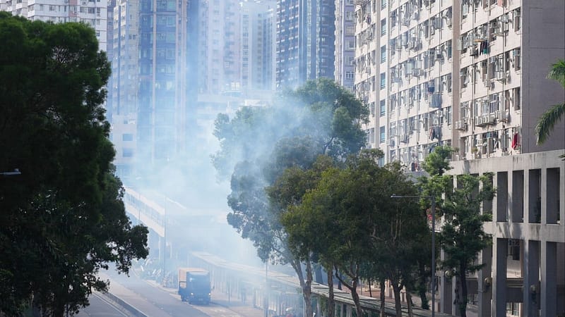 Hong Kong reports first local chikungunya fever case in at least 11 years