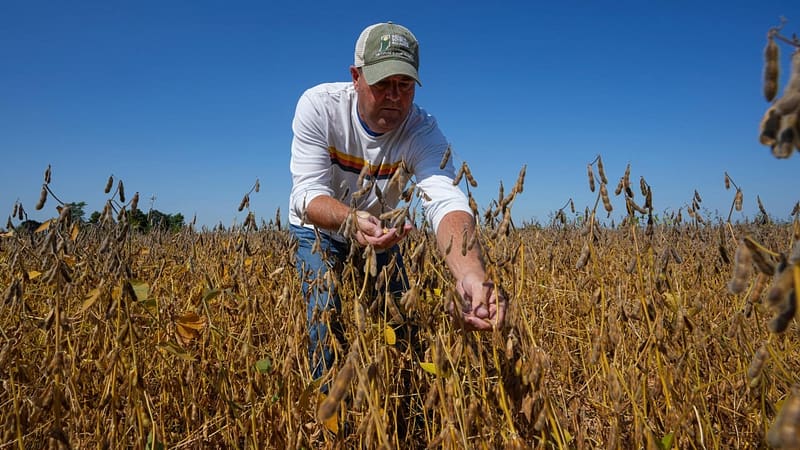 ‘Make China buy’: US soybean farmers, tired of trade war ‘blows’, push Trump to act