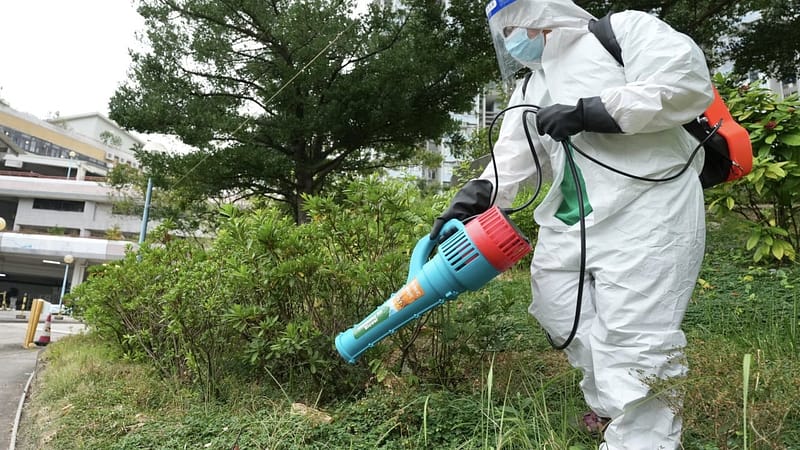 Hong Kong’s fourth local chikungunya case unrelated to past 3: health officials