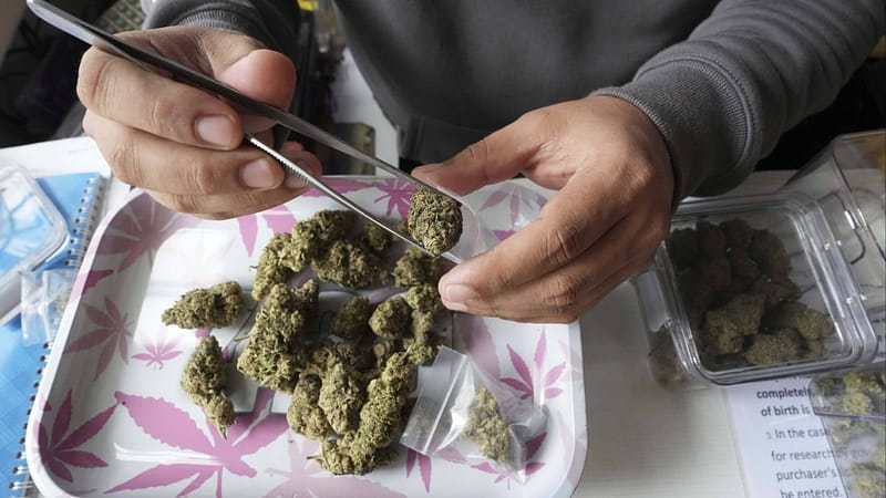 Thailand tightens cannabis sales as dispensaries face closure ahead of election