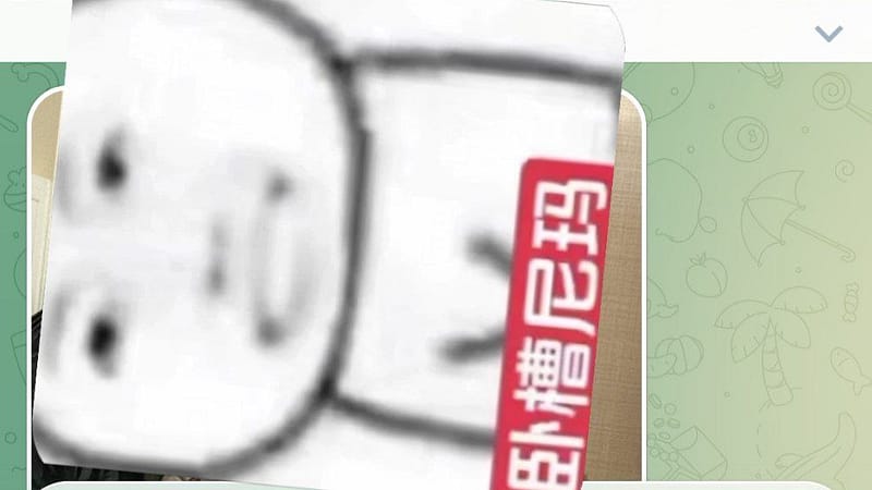 #网友爆料：金贝3的公司今天也在全部搬家。