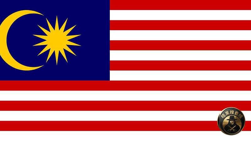 #网友投稿：看今天 #马来西亚 抓了这么多人，我心里其实挺爽