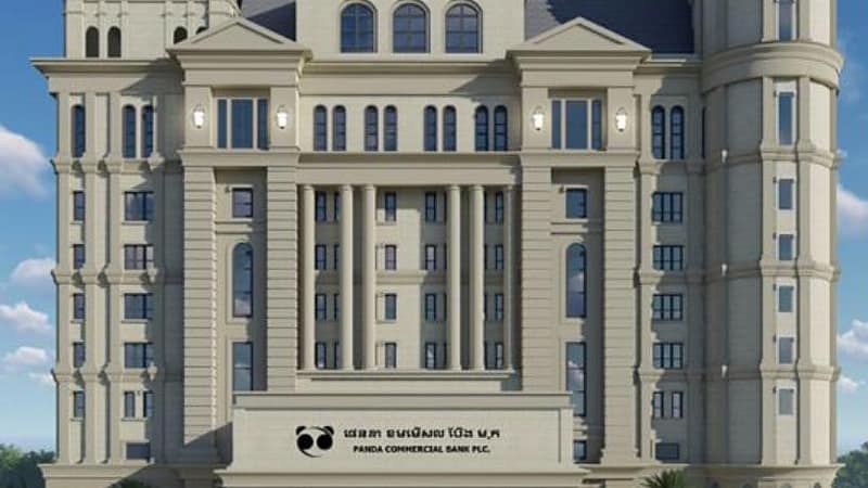 突发！胖大银行被吊销执照

柬埔寨国家银行2月23日下午