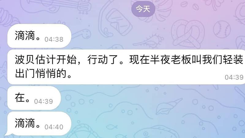 #网友投稿  #波贝 估计要开始行动了

今天凌晨半夜，
