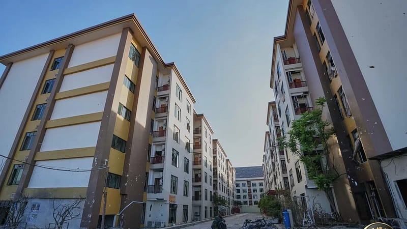 #为何东南亚会成为电诈中心？

彭博社昨日（3月6日）发