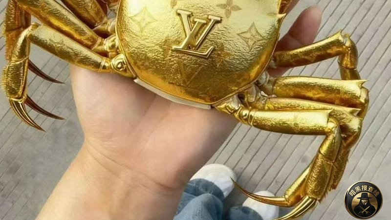 #群友吐槽：人没入境、没工作，凭空被罚500美金！柬埔寨政策