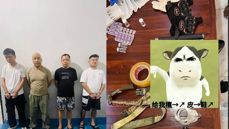 金边警方捣毁中国籍绑架勒索团伙 
其中一人已被拉黑名单竟然