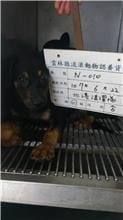 【待認養】混種犬 狗 (男生) - 雲林縣流浪動物收容所