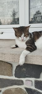 嘉鈞股份有限公司