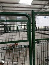 【待認養】混種犬 狗 (女生) - 連江縣流浪犬收容中心