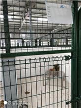 【待認養】混種犬 狗 (女生) - 連江縣流浪犬收容中心