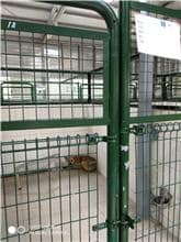 【待認養】混種犬 狗 (女生) - 連江縣流浪犬收容中心