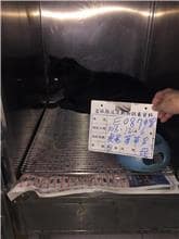 【待認養】混種犬 狗 (女生) - 雲林縣流浪動物收容所