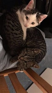 佳美國際有限公司