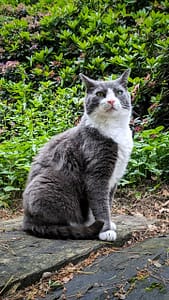 華寵寵物生活館