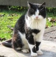 多力寵物精品旅館