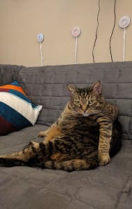 狗苑子寵物沙龍