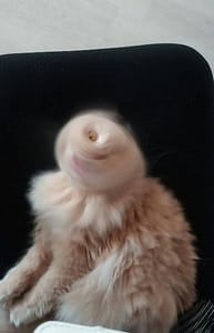 二十七度公寓社