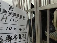 【待認養】混種犬 狗 (女生) - 雲林縣流浪動物收容所