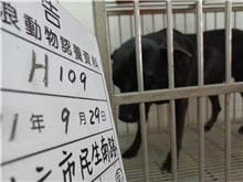 【待認養】混種犬 狗 (女生) - 雲林縣流浪動物收容所