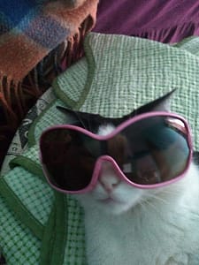 好窩寵物生活館