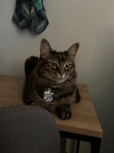 宬銘屋寵物生活館(毛毛窩寵物精品旅館)