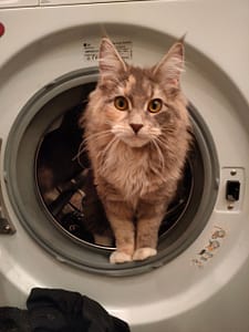 幸福種子寵物沙龍