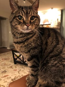 阿帆達寵物生活館