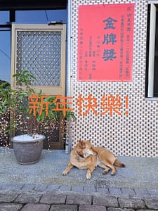 【急尋】混種犬 - 宜蘭縣冬山鄉中山村中城路附近 (黃)