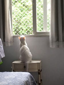 咪一狗窩窩生活館