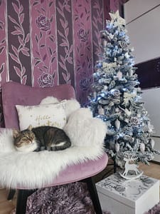 旺貓家族寵物生活館