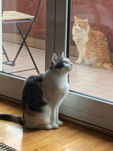 良婷萱有限公司