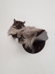 麻糬阿木工作室