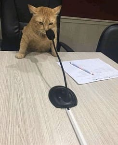 東森寵物雲股份有限公司彰化鹿港分公司