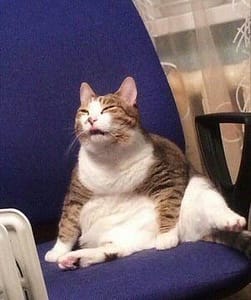 慈愛生物科技股份有限公司仁德分公司