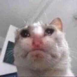 承澤寵物有限公司