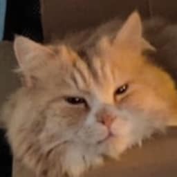 牧貓興業有限公司竹北分公司