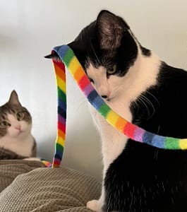 犬聯世界名犬繁育場