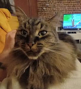 魚中魚樂活有限公司文心分公司