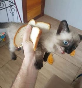 寵愛寶貝生活館